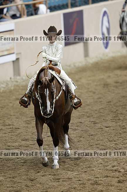 Proof 11yn_06545