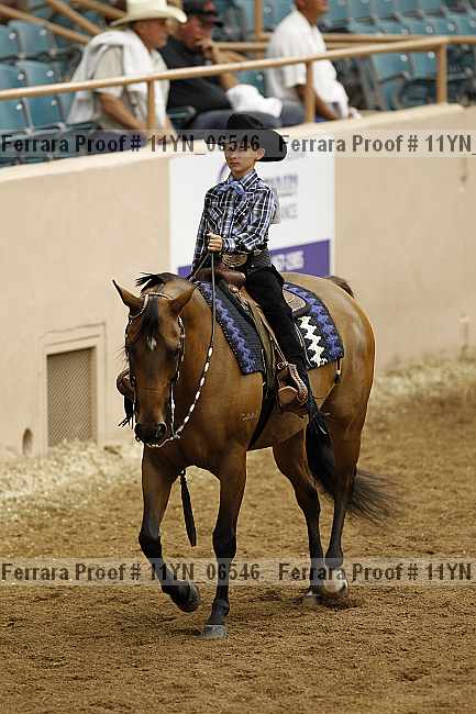 Proof 11yn_06546