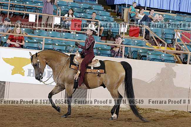 Proof 11yn_06549