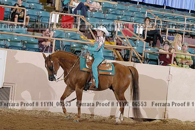 Proof 11yn_06553