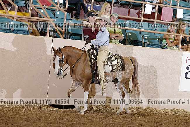 Proof 11yn_06554