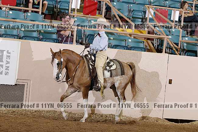 Proof 11yn_06555