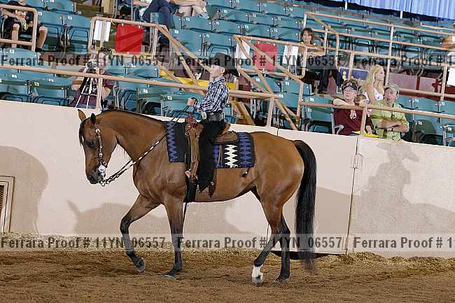 Proof 11yn_06557