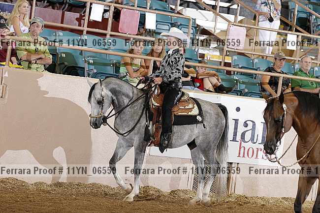 Proof 11yn_06559