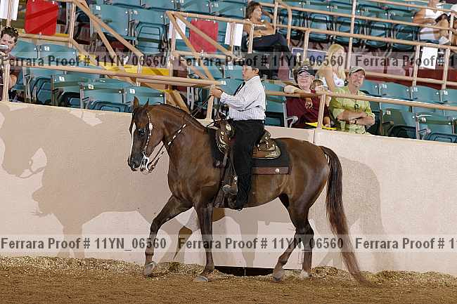 Proof 11yn_06560