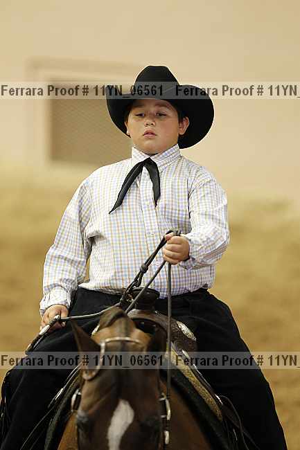 Proof 11yn_06561