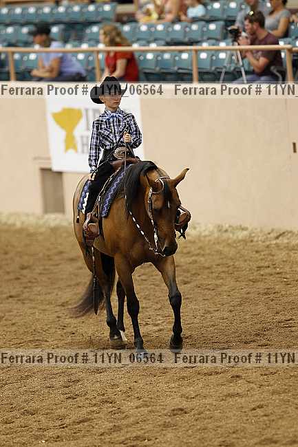 Proof 11yn_06564
