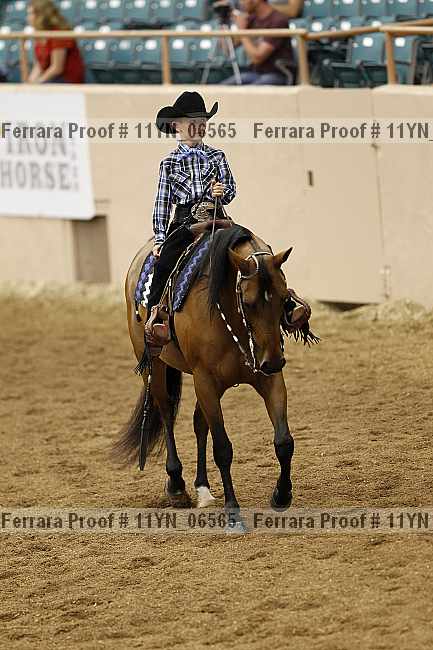Proof 11yn_06565