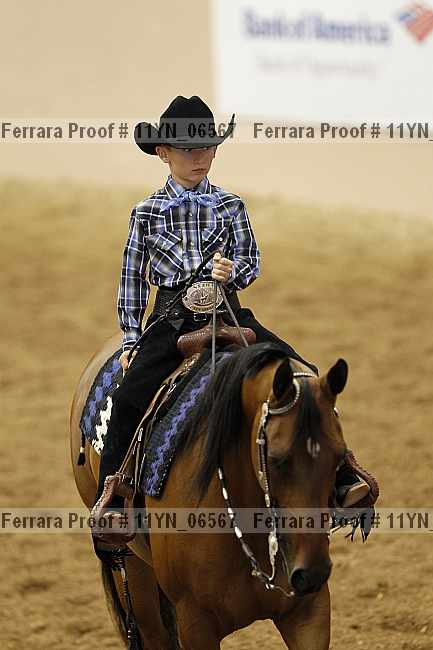 Proof 11yn_06567