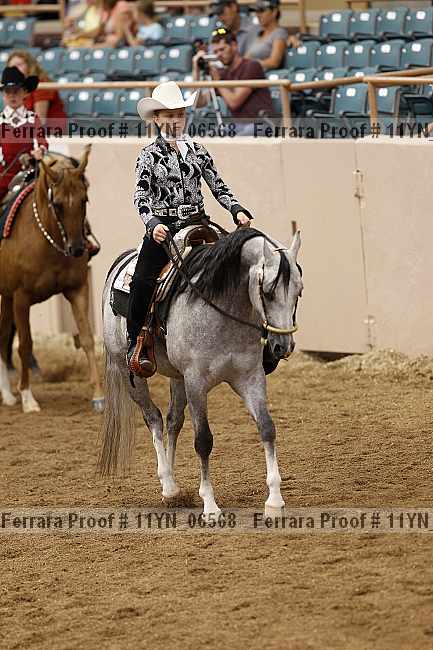 Proof 11yn_06568