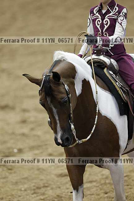Proof 11yn_06571