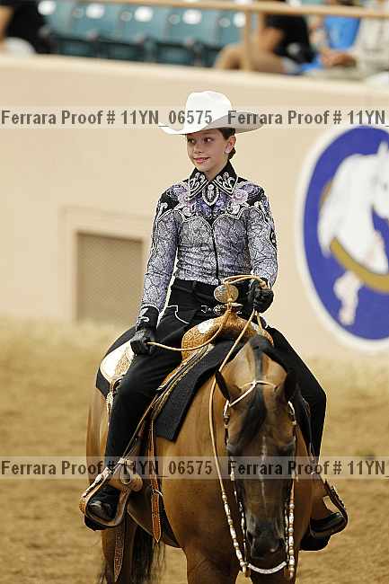 Proof 11yn_06575