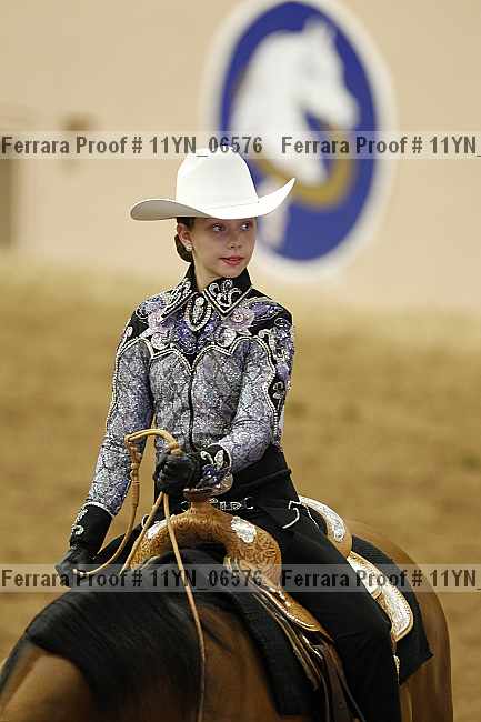 Proof 11yn_06576