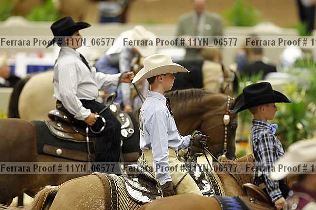 Proof 11yn_06577