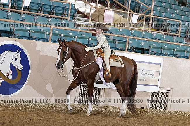 Proof 11yn_06580