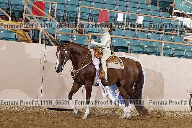 Proof 11yn_06581