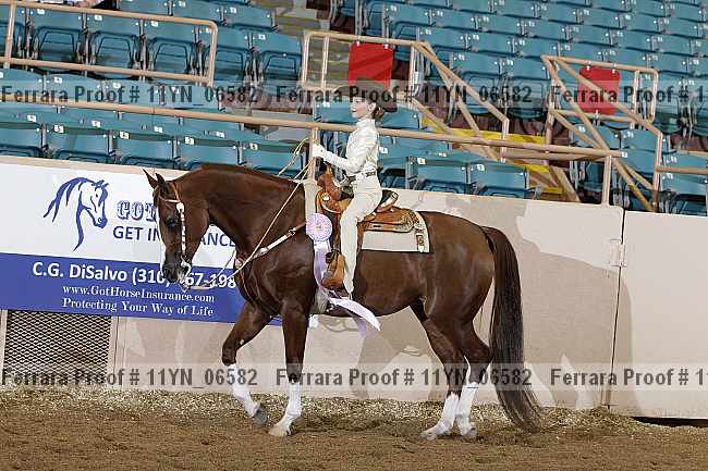 Proof 11yn_06582