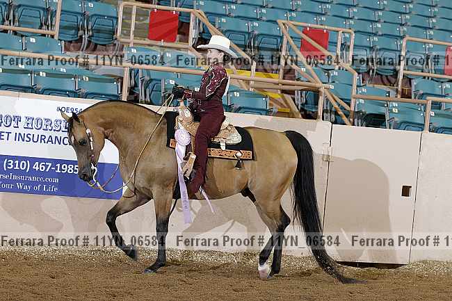 Proof 11yn_06584