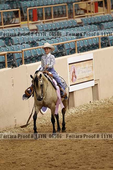 Proof 11yn_06586