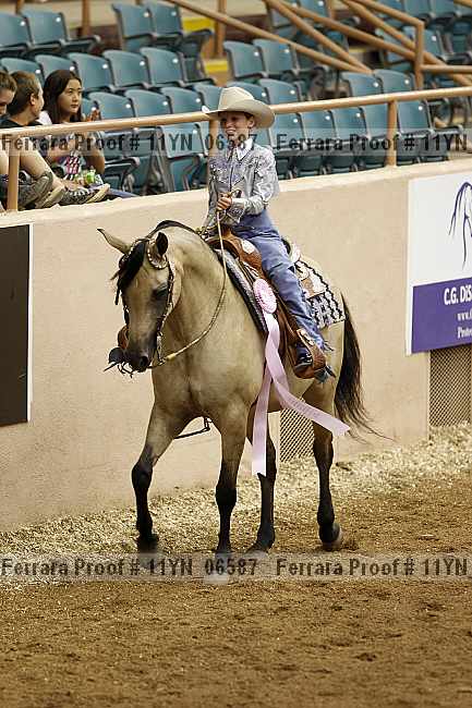 Proof 11yn_06587