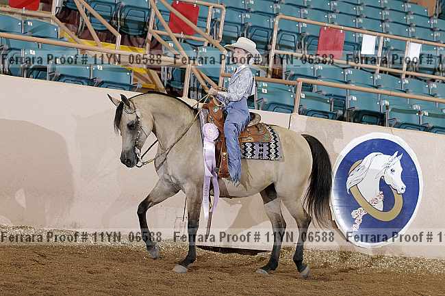 Proof 11yn_06588