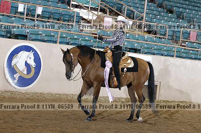 Proof 11yn_06589
