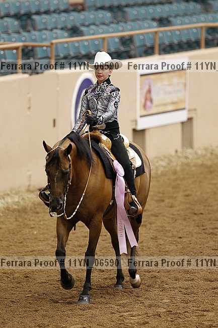 Proof 11yn_06590