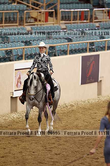Proof 11yn_06595