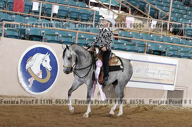 Proof 11yn_06596