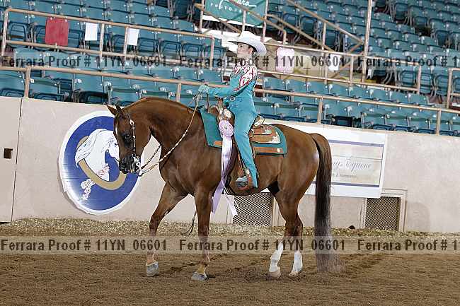 Proof 11yn_06601