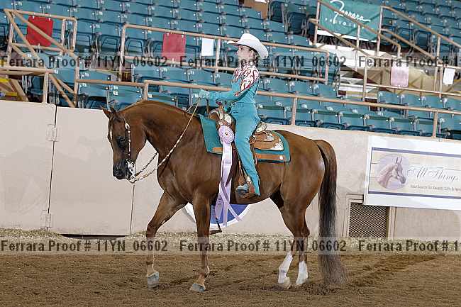 Proof 11yn_06602