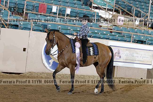 Proof 11yn_06603