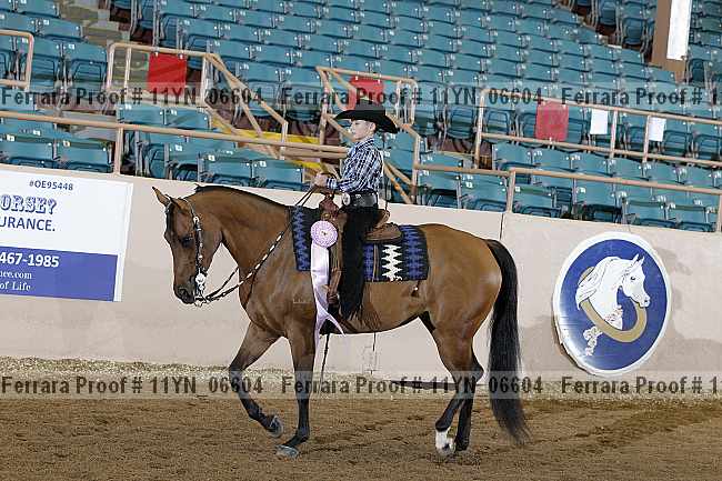 Proof 11yn_06604