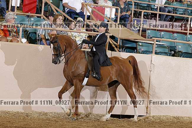 Proof 11yn_00927