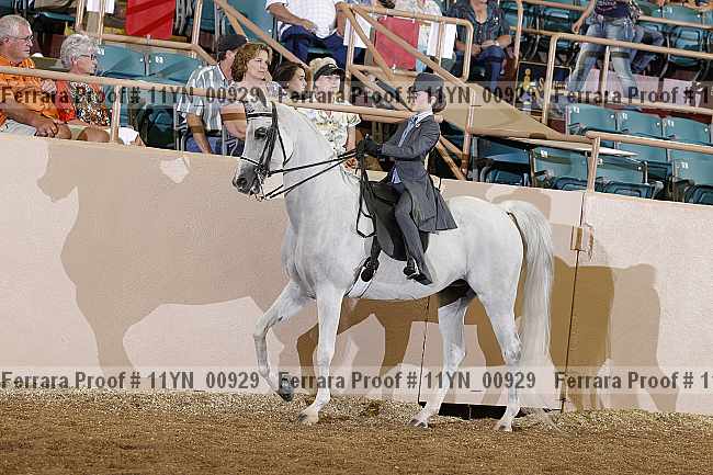 Proof 11yn_00929