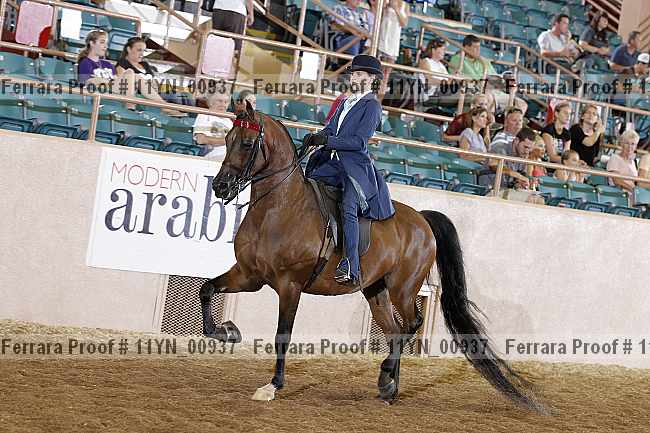 Proof 11yn_00937