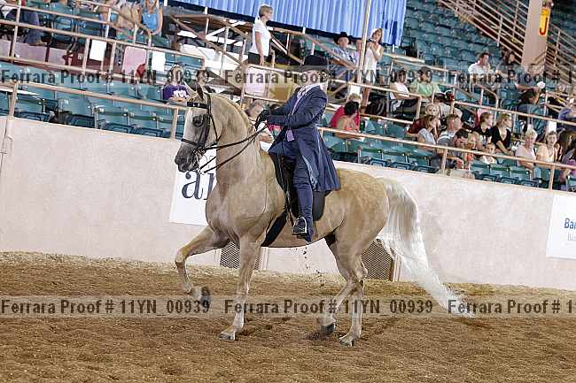 Proof 11yn_00939