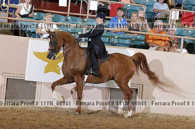 Proof 11yn_00941