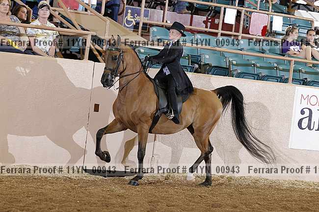 Proof 11yn_00943