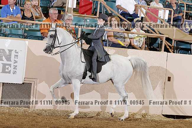 Proof 11yn_00945