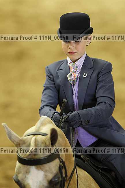 Proof 11yn_00950