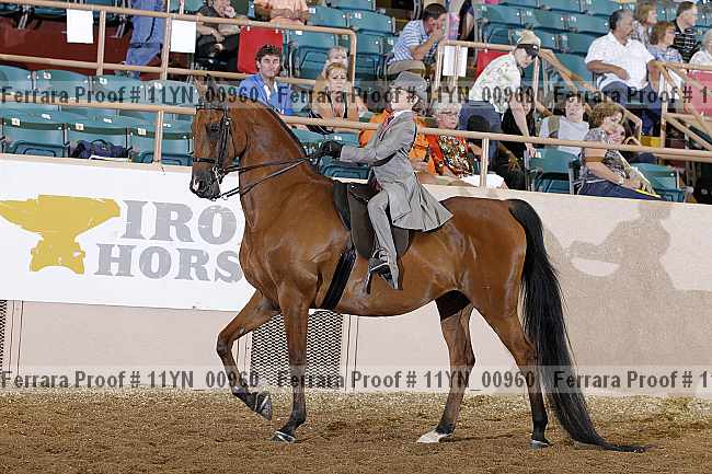 Proof 11yn_00960