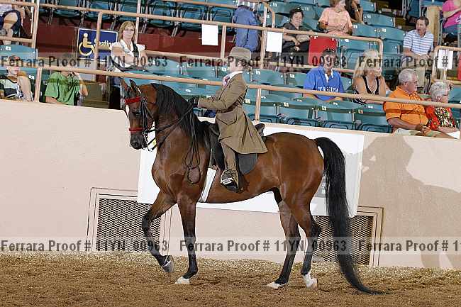 Proof 11yn_00963