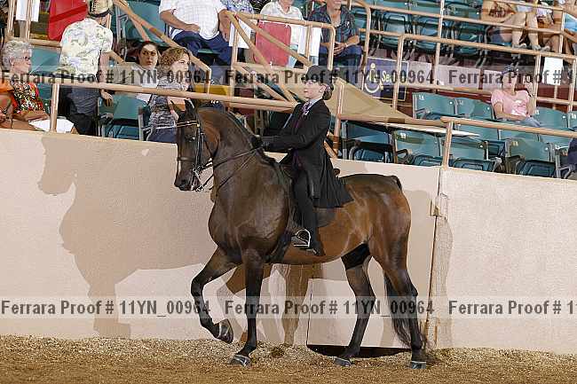 Proof 11yn_00964