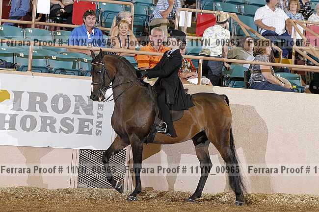Proof 11yn_00965