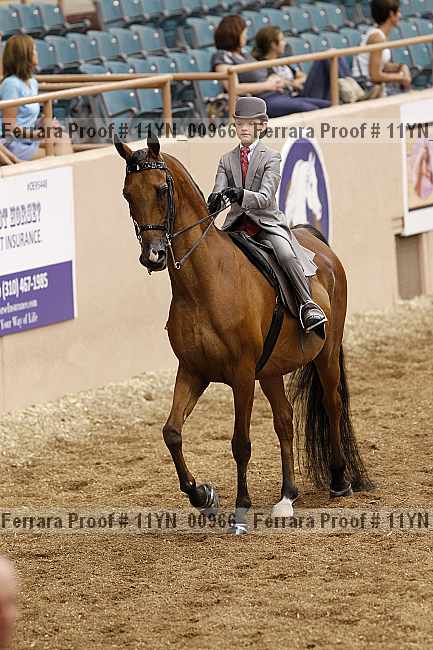 Proof 11yn_00966