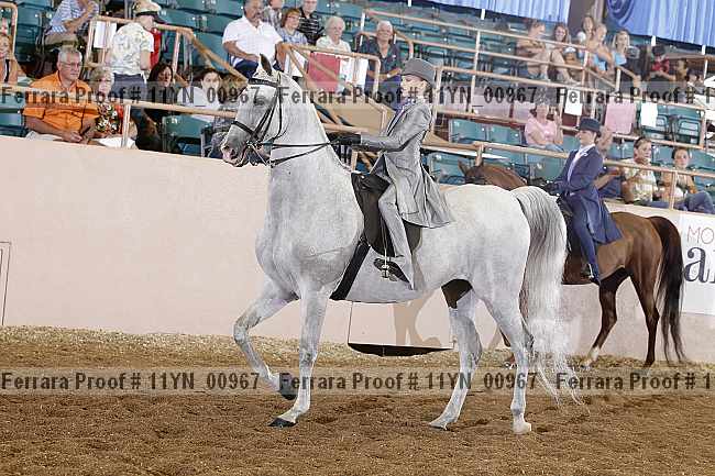 Proof 11yn_00967