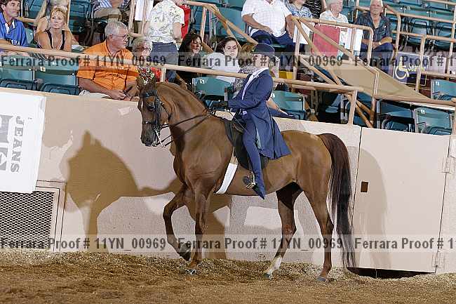 Proof 11yn_00969