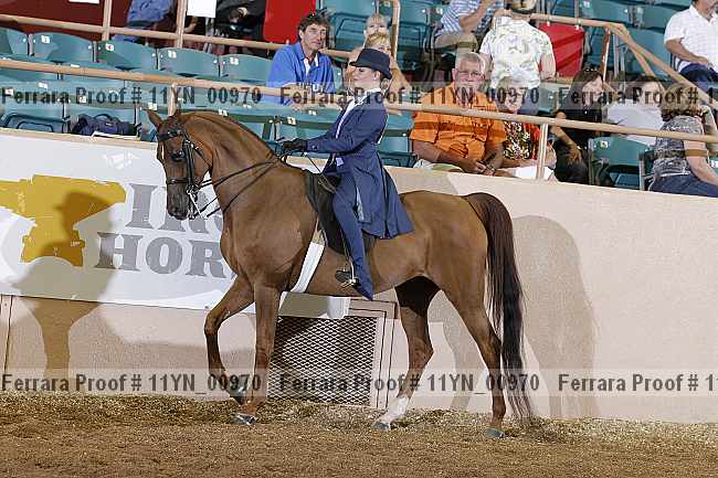 Proof 11yn_00970