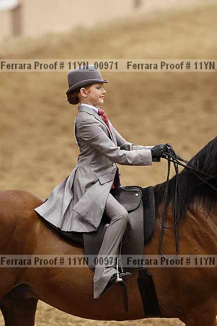 Proof 11yn_00971